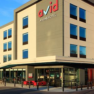 Avid Hotels - Beaumont, An Ihg Hotel